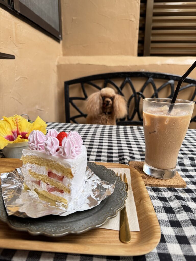 カママカフェコーヒアンドケーキ